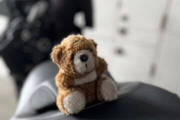 20231010 TRAXX - Bear Bear - 03